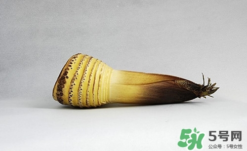 膽結石可以吃竹筍嗎?膽結石吃竹筍好嗎