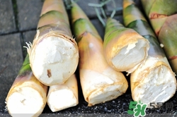 膽結石可以吃竹筍嗎?膽結石吃竹筍好嗎