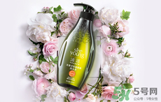 滋源洗發(fā)水怎么樣？滋源生姜洗發(fā)水怎么樣