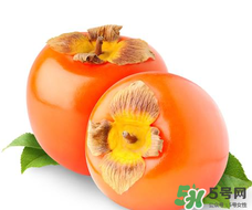 柿子籽能吃嗎？柿子籽的功效與作用