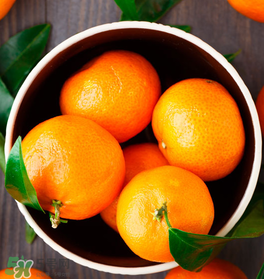 新鮮的桔子怎么保存？新鮮桔子儲(chǔ)存方法