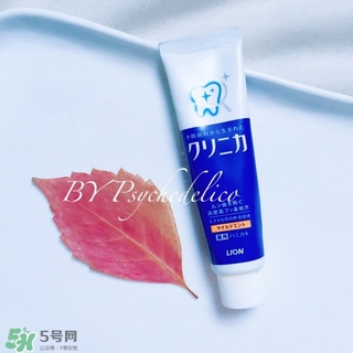 獅王牙膏保質(zhì)期怎么看？獅王牙膏保質(zhì)期是多久？