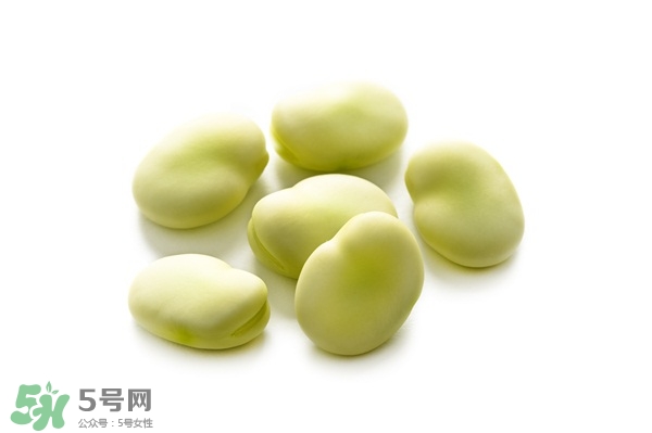 蠶豆可以減肥嗎?蠶豆的熱量是多少 蠶豆可以減肥嗎?蠶豆的熱量是多少