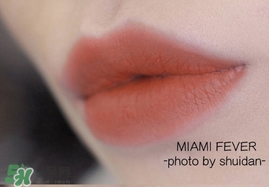 ofra miami fever南瓜色口紅色號(hào) ofra南瓜色口紅試色