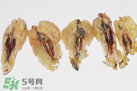 林蛙油是什么？林蛙油的功效與作用