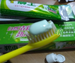 lion獅王是什么牌子？獅王是哪個國家的什么檔次？