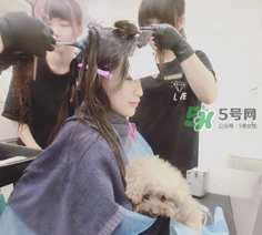 產(chǎn)后怎么護(hù)理頭發(fā)？生寶寶后頭發(fā)怎么護(hù)理