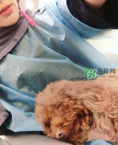 產(chǎn)后怎么護(hù)理頭發(fā)？生寶寶后頭發(fā)怎么護(hù)理