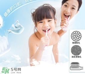 獅王牙刷怎么辨別真假？獅王牙刷真假對比