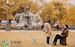 也許星星會(huì)帶走你的悲傷多少錢(qián)？也許星星會(huì)帶走你的悲傷價(jià)格