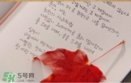 也許星星會(huì)帶走你的悲傷多少錢(qián)？也許星星會(huì)帶走你的悲傷價(jià)格