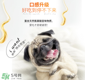 狗狗營養(yǎng)膏什么牌子好？狗狗營養(yǎng)膏多少錢？