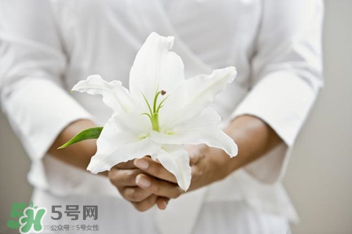 脾虛可以吃冬瓜皮嗎?脾虛如何調(diào)理 脾虛可以吃冬瓜皮嗎?脾虛如何調(diào)理