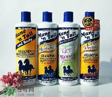 洗發(fā)水什么牌子好？洗發(fā)水2017品牌排行榜