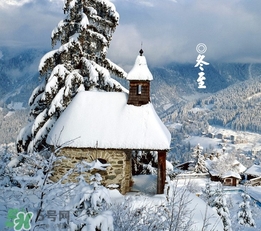 冬至要上墳嗎？冬至為什么要上墳？