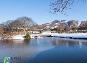 冬至要上墳嗎？冬至為什么要上墳？