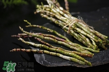 鐵皮石斛是什么東西?鐵皮石斛哺乳期能吃嗎 鐵皮石斛是什么東西?鐵皮石斛哺乳期能吃嗎