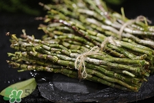 鐵皮石斛是什么東西?鐵皮石斛哺乳期能吃嗎 鐵皮石斛是什么東西?鐵皮石斛哺乳期能吃嗎