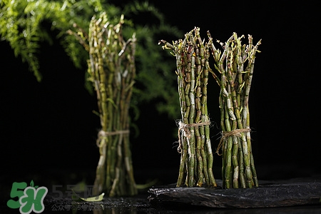 鐵皮石斛是什么東西?鐵皮石斛哺乳期能吃嗎 鐵皮石斛是什么東西?鐵皮石斛哺乳期能吃嗎