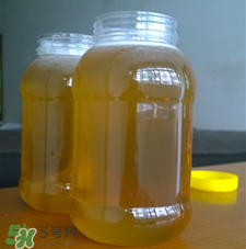 冬蜜好還是春蜜好？冬蜜和春蜜的區(qū)別