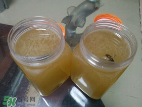 冬蜜多少錢一斤？冬蜜如何辨別真假？