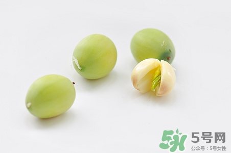 寶寶能吃蓮子心嗎?寶寶吃蓮子心好嗎 寶寶能吃蓮子心嗎?寶寶吃蓮子心好嗎