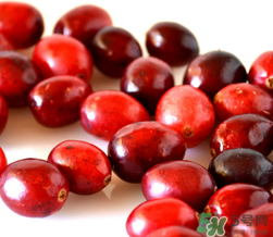 蔓越莓可以和什么一起榨汁？蔓越莓榨汁搭配