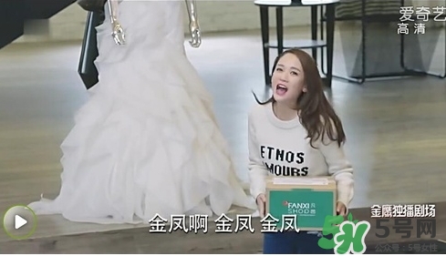 凡茜是什么牌子？凡茜是哪個國家的品牌什么檔次？