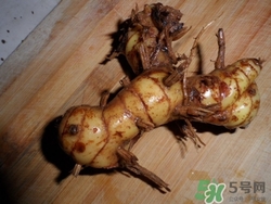 洋姜湯怎么做?洋姜湯的功效作用 洋姜湯怎么做?洋姜湯的功效作用