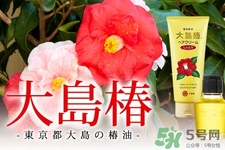 大島椿護(hù)發(fā)精油多少錢？大島椿護(hù)發(fā)精油日本價格