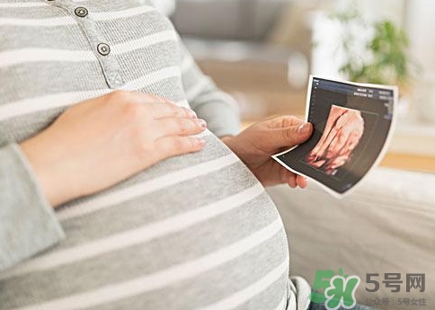 懷孕5個(gè)月肚臍眼突出是怎么回事?是什么原因? 懷孕5個(gè)月肚臍眼突出是怎么回事?是什么原因?