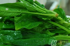 菠菜可以生吃嗎？菠菜能直接生吃嗎？