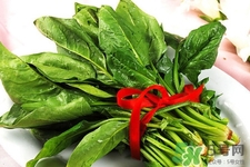 吃菠菜好嗎？吃菠菜的好處和壞處？
