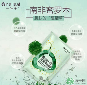 一葉子是哪個(gè)國(guó)家的？一葉子面膜是哪個(gè)國(guó)家的？
