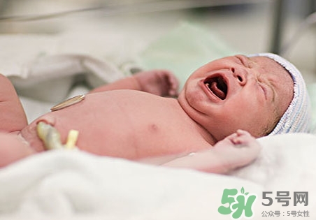 新生兒身上有白色膿包是怎么回事?什么原因? 新生兒身上有白色膿包是怎么回事?什么原因?