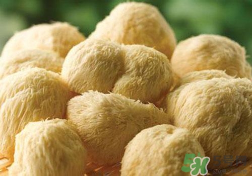 猴頭菇苦可以吃嗎？猴頭菇苦怎么回事？