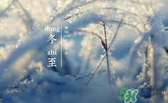 冬至可以過生日嗎?冬至過生日好嗎 冬至可以過生日嗎?冬至過生日好嗎