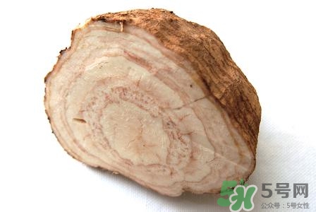 粉葛是什么東西?粉葛的功效與作用 粉葛是什么東西?粉葛的功效與作用