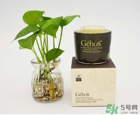 姬存希是哪個(gè)國家的？姬存希是哪里產(chǎn)的？