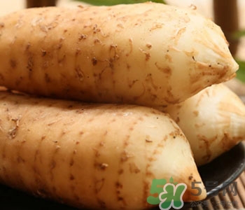 孕婦可以吃天麻嗎?孕婦吃天麻對胎兒好嗎 孕婦可以吃天麻嗎?孕婦吃天麻對胎兒好嗎