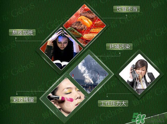 姬存希黃瓜膠多少錢？姬存希黃瓜膠價格