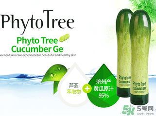 姬存希黃瓜膠多少錢？姬存希黃瓜膠價格