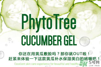 姬存希黃瓜膠多少錢？姬存希黃瓜膠價格