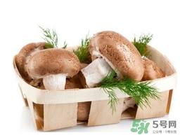 香菇顏色深好還是淺好？鮮香菇顏色越深越好嗎？