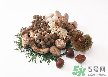 荔枝菌是什么?荔枝菌的功效與作用 荔枝菌是什么?荔枝菌的功效與作用