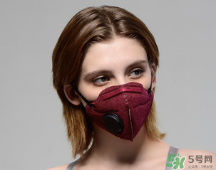 pm2.5口罩多少錢？pm2.5口罩價(jià)格