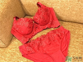 黛安芬內(nèi)衣怎么樣？黛安芬內(nèi)衣價格圖片