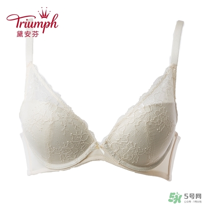 黛安芬內(nèi)衣怎么樣？黛安芬內(nèi)衣價格圖片