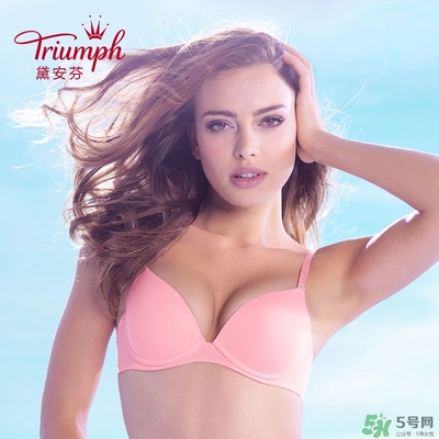 黛安芬內(nèi)衣怎么樣？黛安芬內(nèi)衣價(jià)格圖片