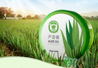 雅麗潔蘆薈膠多少錢？雅麗潔蘆薈膠好不好？